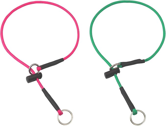 16" Dog Slip Collar – 5/32" Paracord Rope Dog Collar with Spring-Loaded Stopper & Stainless Steel O-Ring, Reflective for Low-Light Visibility (Hot Pink & Green)