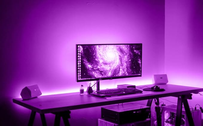 Neon Light Strip-2PCS/10M/32.8FT/Purple/Flexible and Waterproof LED Rope Light with Mounting Accessories for Indoor & Outdoor Decoration,[No Adapter]