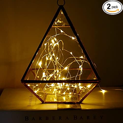 Timer Led String Light,2 Pack Mini Battery Powered Silver Wire Starry Fairy Lights,Battery Operated Lights for Bedroom,Christmas,Parties,Wedding,Christmas Gift Decoration(5m/16ft Warm White)