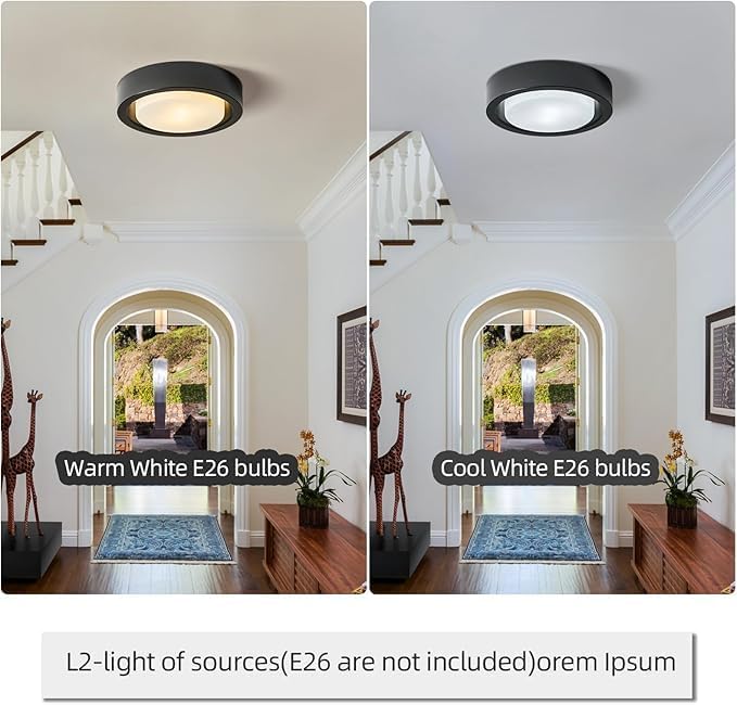 Black Flush Mount Ceiling Light,13 Inch Matte Black Ceiling Lighting Fixture,2-Light Modern Round Metal Lamp with White Frosted Glass Shade for Hallway Bedroom Closet Outdoor