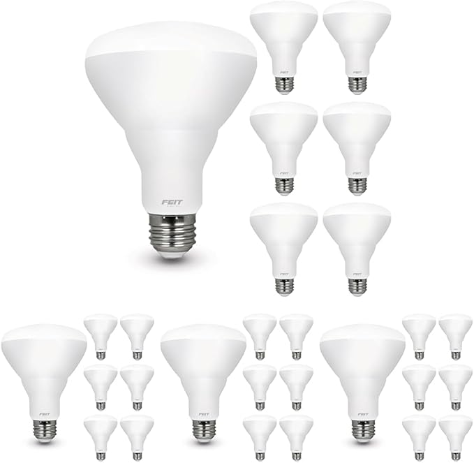 Feit Electric BR30 LED Light Bulbs, 100W Equivalent, Dimmable, E26 Standard Base, 80 CRI, 1400 Lumens, 5000K Daylight, 120V, 10 Years Lifetime, Damp Rated, 24 Pack, 100BR30DM85010KLED/6