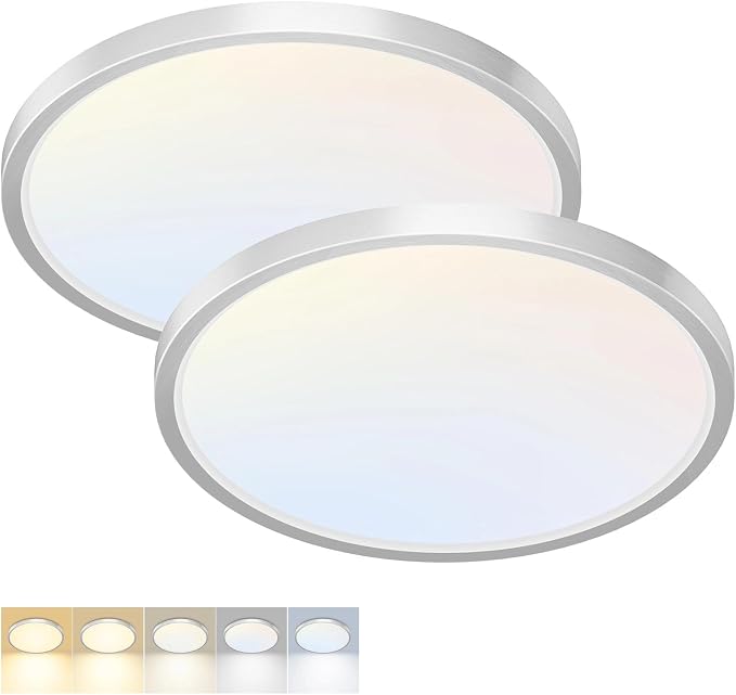 2 Pack LED Flush Mount Ceiling Light,12Inch 24W,3000K/3500K/4000K/5000K/6500K 5 Color Temperatures Ceiling Light Fixture for Kitchen Porch Hallway Bedroom Bathroom and Closet,Brushed Nickel