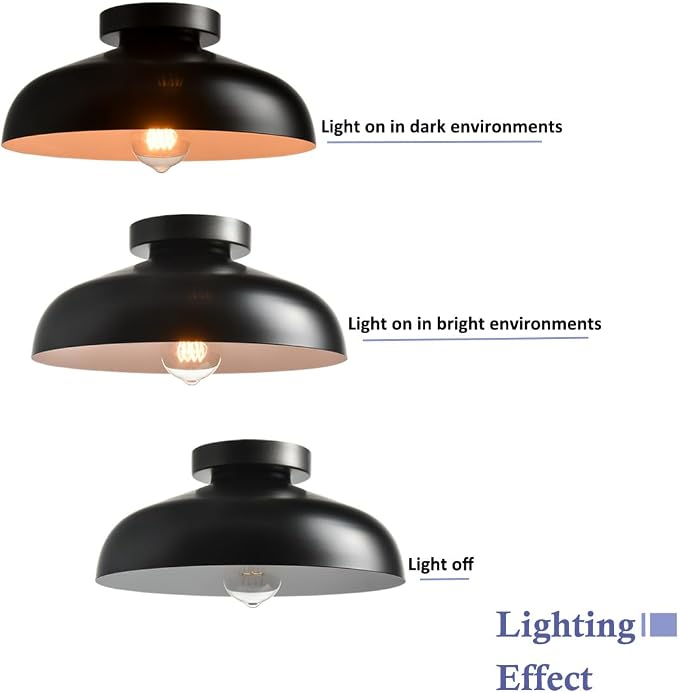 DIRYZON Flush Mount Ceiling Light, 12-Inch Industrial Black Ceiling Light | Ceiling Light with Metal Shade Lighting for Bedroom Hallway Kitchen Entryway