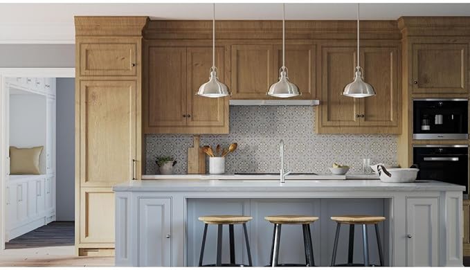 Progress Lighting 1-Light Fresnel Glass Coastal Pendant Light, Fresnel Lens Collection , Indoor, P5188-09, Brushed Nickel