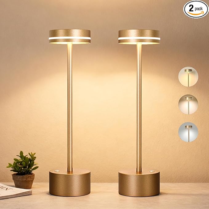 2 Pack Cordless Table Lamp Rechargeable, Touch Desk Lamp - 5000mAh Battery, 3 Color Dimmable Led Light, Small Portable Aluminum Light for Outdoor/Patio/Dining/Tabletop/Bar/Office, Home Decor