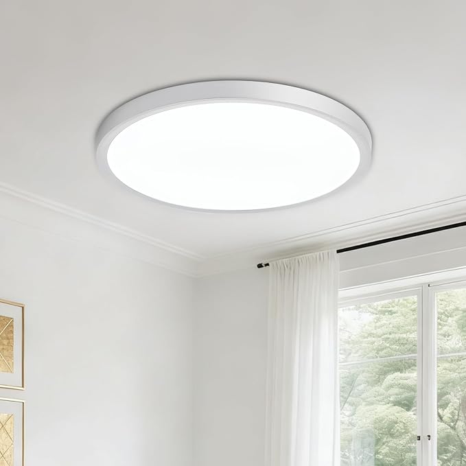 LED Flush Mount Ceiling Light: 12 inch 1Pack Super Slim Dimmable & 5CCT (2700-6500K) Kitchen Lighting Fixtures Ceiling - 24W Silver Low Profile Ceiling Lamp for Bedroom Garage Hallway