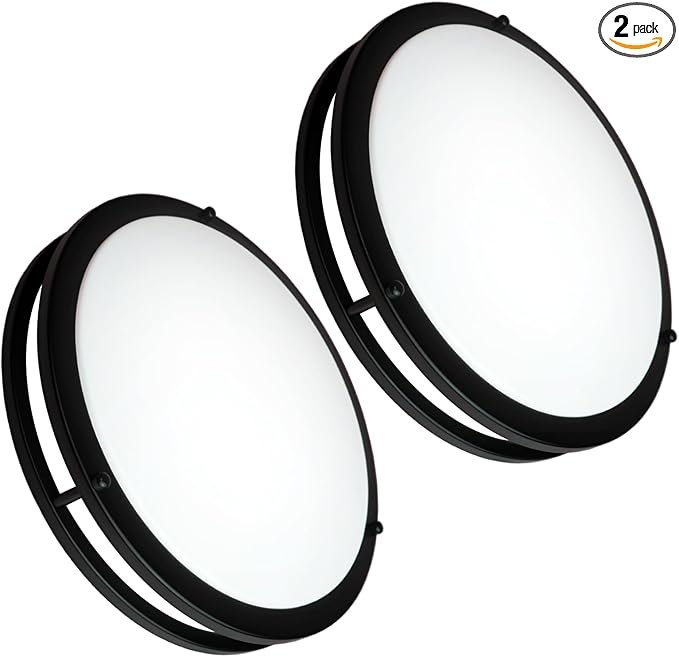 OOWOLF 10 Inch 24W LED Ceiling Lights, 5000K Brightness Adjustable Flush Mount Ceiling Light, Super Bright Matte Black Lighting Lamp Fixture for Bedroom Bathroom Dining, 2-Pack, Daylight White