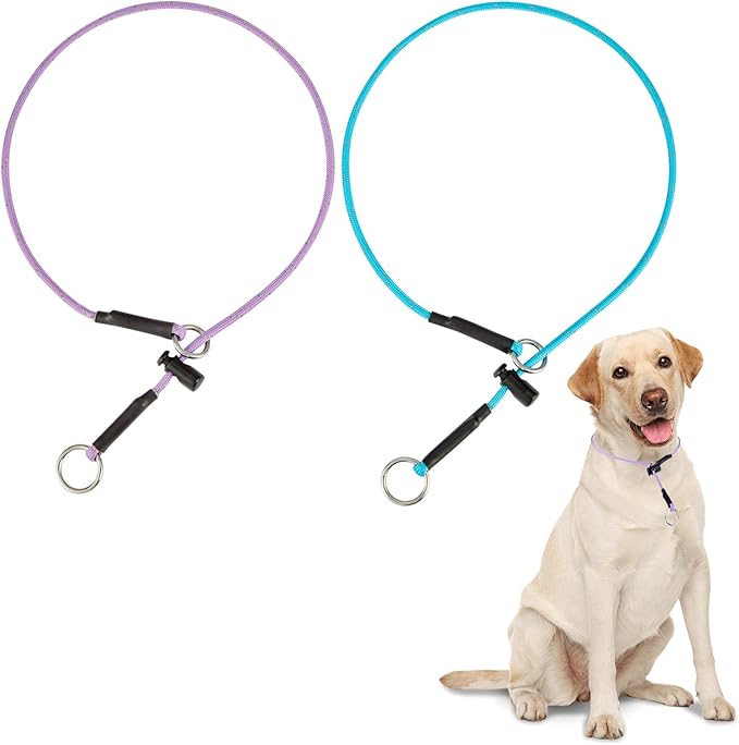 22" Dog Slip Collar – 5/32" Paracord Rope Dog Collar with Spring-Loaded Stopper & Stainless Steel O-Ring, Reflective for Low-Light Visibility (Light Blue & Purple)
