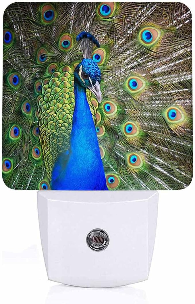 LED Night Light Lamp with Smart Sensor Dusk to Dawn Sensor,Australian Peacock Night Light Daylight White,0.5W Plug-into Wall for Adults,Bedroom,Bathroom,Hallway,Kitchen