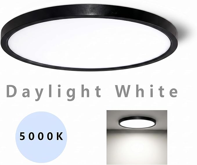 TALOYA Flush Mount Ceiling Light,15.8 Inch,36W,5000K Daylight Black | 100–240 VAC Input LED Ceiling Light for Bedroom, Living Room, Porch,Bathroom,Kitchen, Laundry,Hallway and Closet
