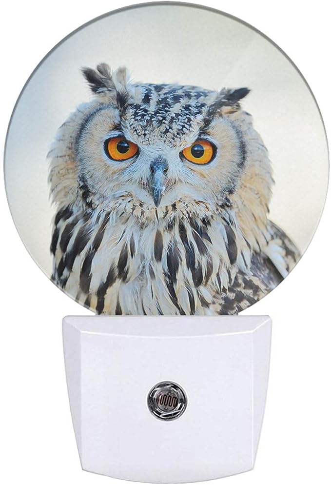 Watercolor Bird Night Light White Owl Night Lights Plug into Wall 0.5W LED Lighting Auto on/Off for Hallway Stairway Kitchen Home Decor