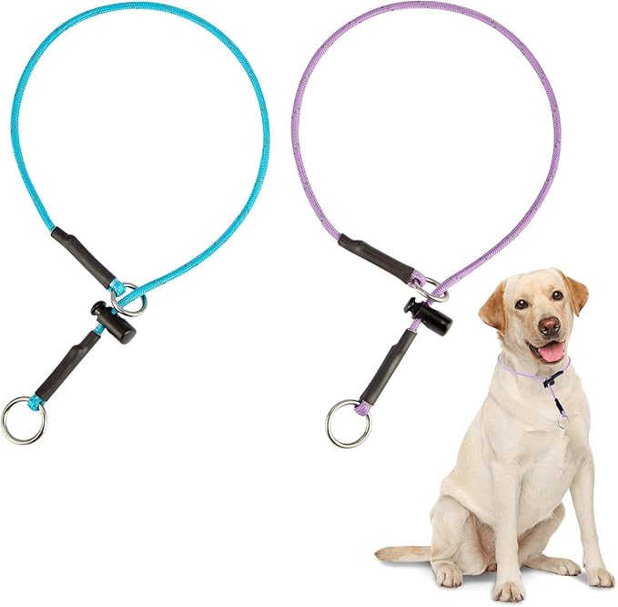 18" Dog Slip Collar – 5/32" Paracord Rope Dog Collar with Spring-Loaded Stopper & Stainless Steel O-Ring, Reflective for Low-Light Visibility (Light Blue & Purple)