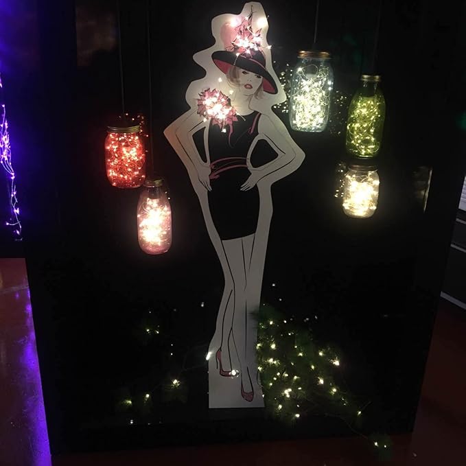 2 Pack Battery Operated Mini Lights,Indoor Led Fairy Lights with Timer 6 Hours on/18 Hours Off for Wedding Party Decorations,50 Count LEDs,18 Feet Silver Wire (Warm White)