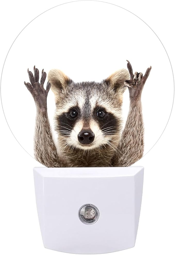 Round LED Night Light,Funny Cute Raccoon LED Night Light Plug into Wall with Dusk to Dawn Light Sensor White Energy Efficient Nightlight for Bedroom Bathroom Hallway Living Room Kitchen