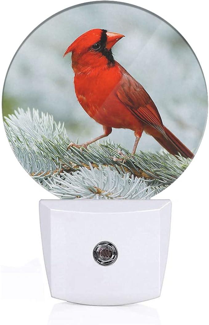Cardinal Night Light Northern Red Bird On Tree Branch Plug-in Nightlight LED Auto on/Off for Hallway Stairway Kitchen Men Women Bedroom