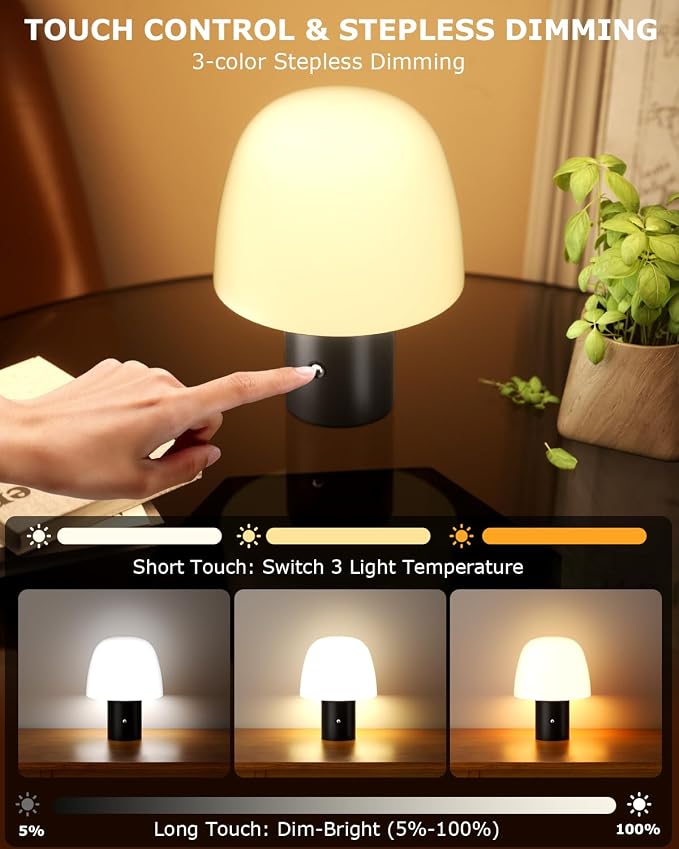 CHLORANTHUS Portable LED Table Lamp, Cordless Desk Lamp Rechargeable, 3-Color Touch Stepless Dimming Night Light for Bedroom/Children's Room/Terrace/Dining Room/Cafe (Black)