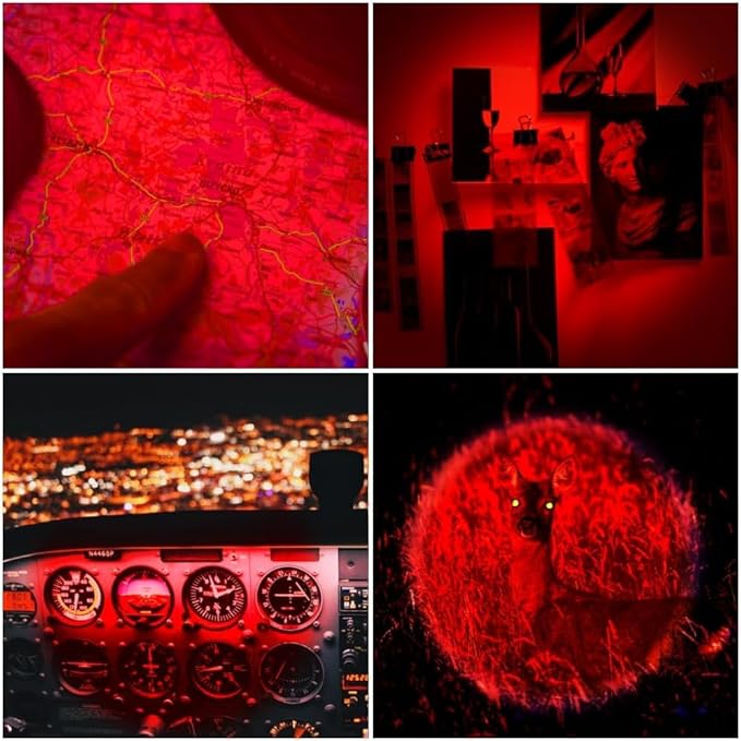 2 Pack Red Light Flashlight Single Mode Red LED Flashlight One Mode Zoomable Night Light Torch for Night Observation and Astronomy Aviation