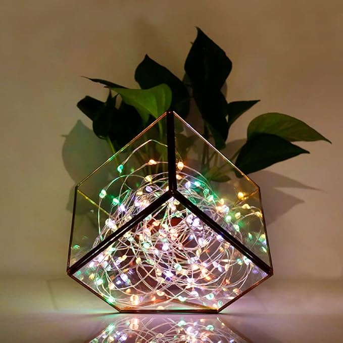 Timer Fairy Lights,Battery Operated Mini Christmas Lights for Bedroom,Christmas,Parties,Wedding,Gift Decoration(5m/16ft Multicolor)