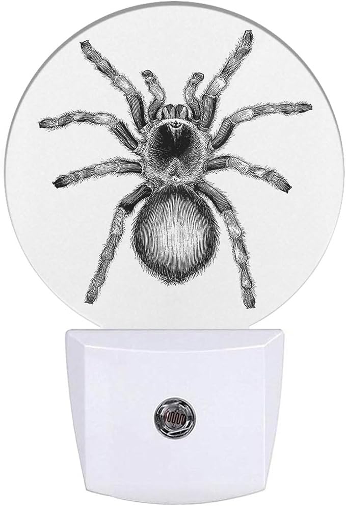 White Black Spider Net Night Light Creepy Scary Spider LED Dusk to Dawn Plug-in Nightlight Auto Sensor for Bedroom Bathroom Hallway Living Room