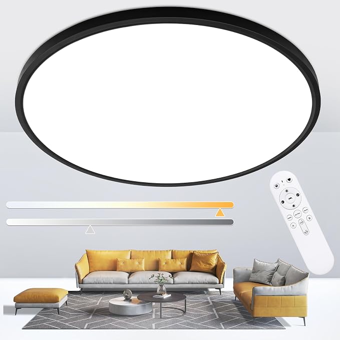 20 inch Dimmable Led Flush Mount Ceiling Light Fixture with Remote Control | 48W 4800LM, Ultra Thin, Modern, Round, Black Large Ceiling Lamp for Kitchen, Dining Room, Bedroom, Living Room, Home Office