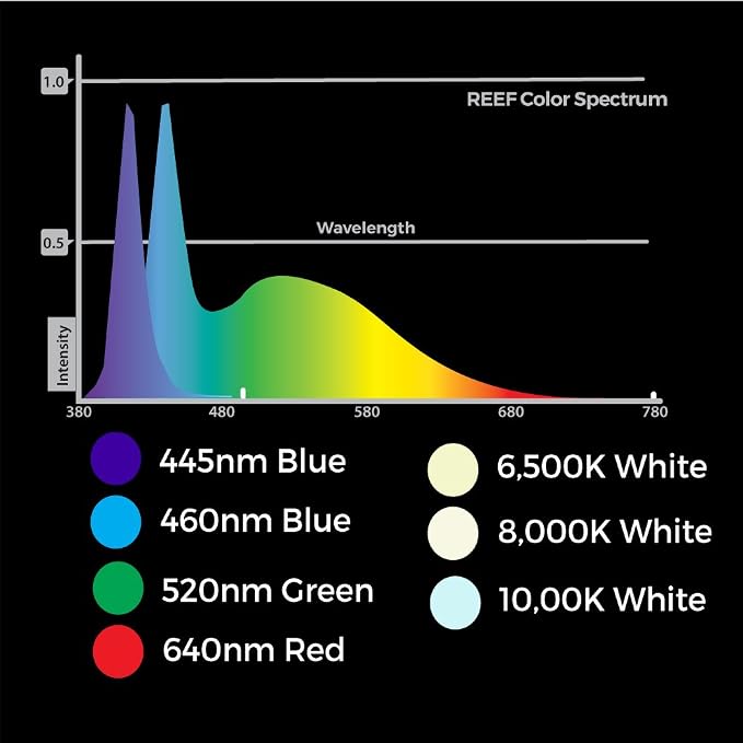 CURRENT USA 48 - 60" Inch Orbit Marine LED Saltwater Reef Marine Aquarium Light | 24 Hour IR Lighting & eFlux Wave Pump Control | Adjustable Color Spectrum for Fish Tank (4103)
