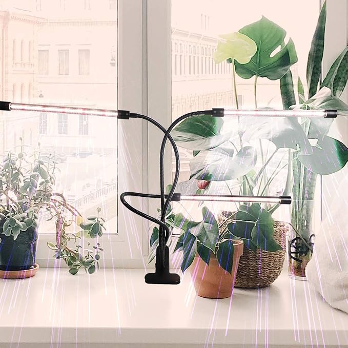 Grow Light for Indoor Plants Growing,Super Bright Clip Desk Gooseneck Lamp | 6000K White Full Sepectrum LED Light for Table Pot Succulents Seeds Small Mirco Green,5-Level Brightness & Timer