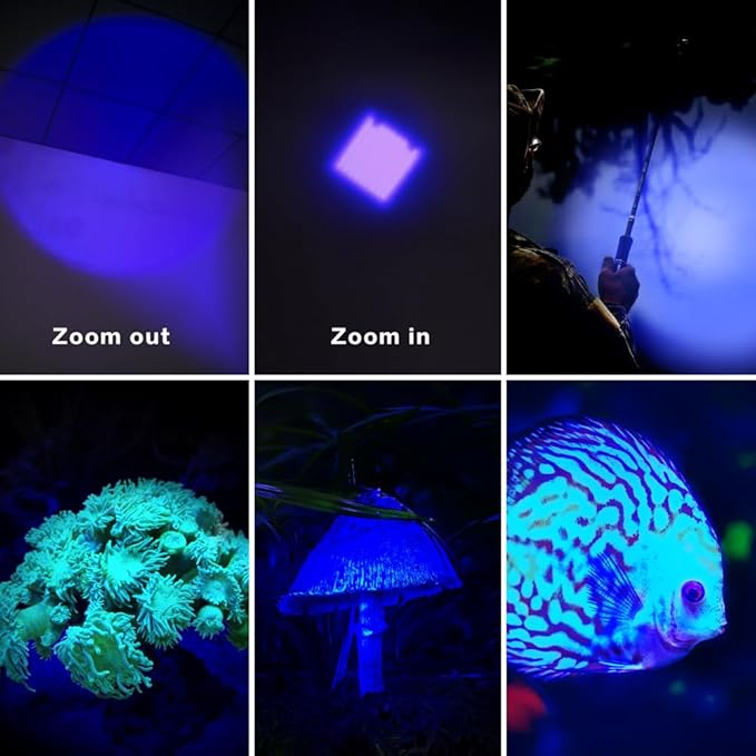 4 Color Light Single Mode Red Green Blue Cool White Light Flashlight for Night Observation