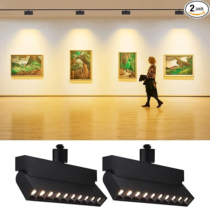 LEONLITE 24W Dimmable LED Track Lighting Heads, for H Type Track Rails, 100-277V, ETL Listed, CRI90, 1300LM, Flicker Free Ceiling Track Light Fixtures for Art, 3000K Warm White, Black, Pack of 2