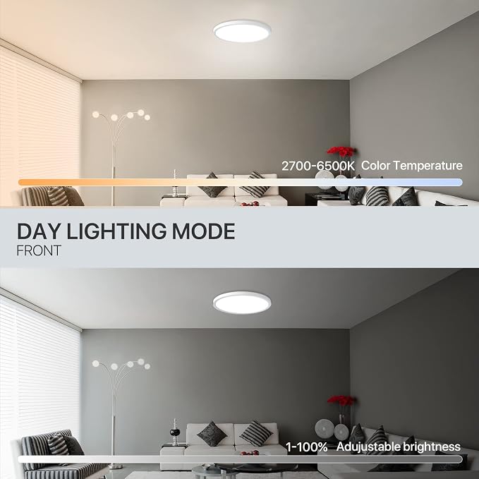 MELEGAN 12 Inch Smart RGB LED Flush Mount Ceiling Light (1 Pcs) | 24W RGB Mood Light, Multi Scenes, Night Light, Flush Mount, Dimmable 2700-6500K, WiFi Alexa Google, for Bedroom, Living Room