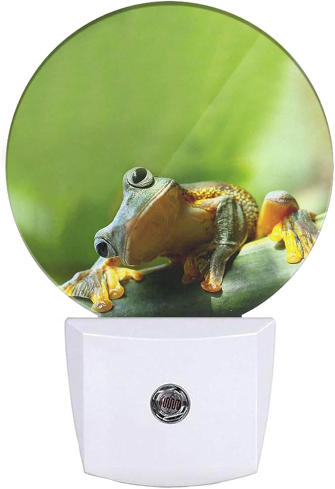 EKOBLA Frog Night Light - Cute Green Pond Animal LED Wall Plug-in Nightlights with Auto Sensor, Dusk to Dawn Lighting for Bedroom, Bathroom & Kitchen