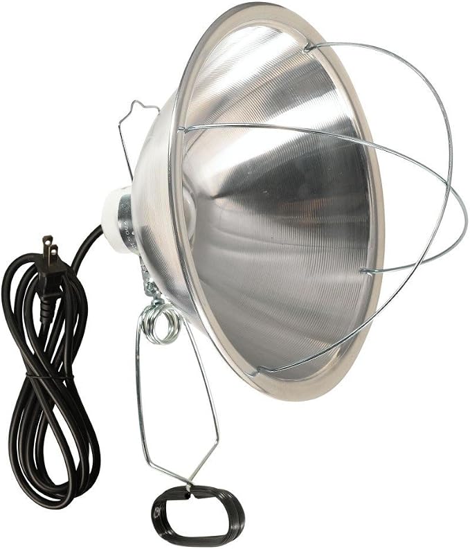 Woods Clamp Lamp with 10 Inch Reflector and Bulb Guard (300 Watt Bulb, 6 Foot Cord)