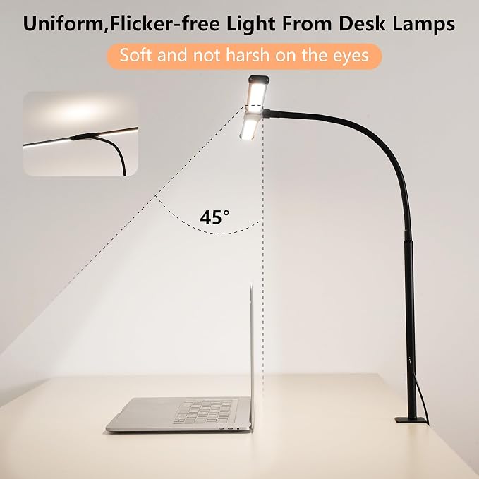 Dual-Head LED Desk Lamp for Office Home, Adjustable Flexible Eye-Caring Desk Light, 5 Modes 10 Brightness Adjustment, USB Adapter Desk Lamp with Clamp-ST-B