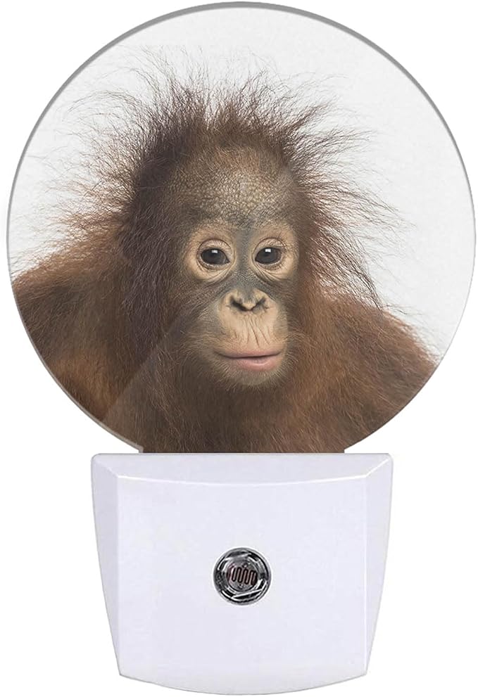 EKOBLA Monkey Night Light, Funny Ape Wildlife Night Lights Plug Into Wall with Dusk to Dawn Sensor, LED Nightlights for Bedroom, Bathroom, Gifts Ideal for Kids Teen Boys Girls Women