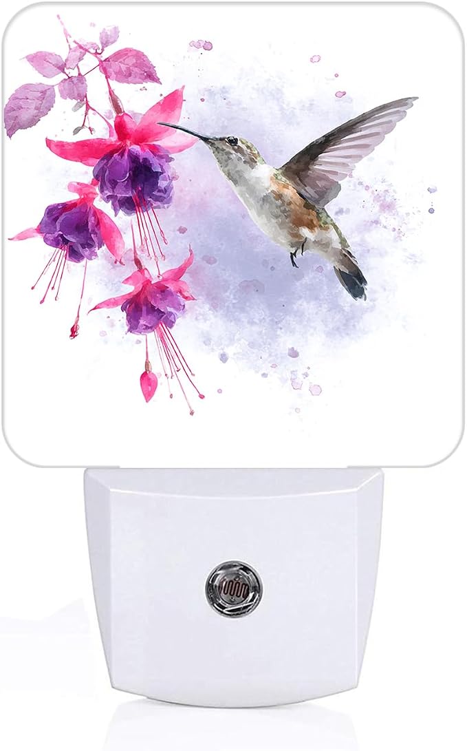 Groovy Hummingbird Flowers Night Light,Plug Into Wall for Boys Girls Bedroom Decorative Square Night Light Lamp 0.5w Sleep Friendly