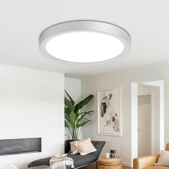 LED Flush Mount Ceiling Light: 7 inch 1Pack Super Slim Dimmable & 5CCT (2700-6500K) Kitchen Lighting Fixtures Ceiling - 12W Silver Low Profile Ceiling Lamp for Bedroom Garage Hallway