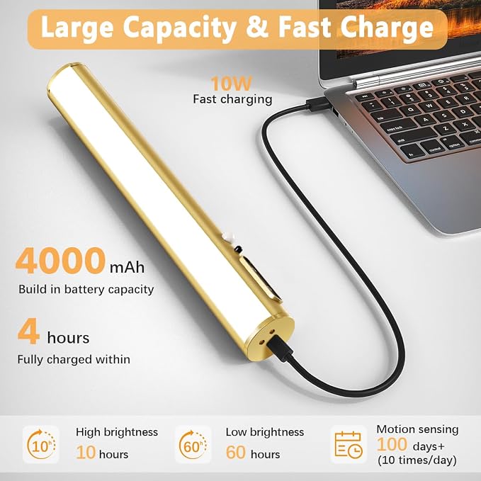 Hapfish Motion Sensor Battery Operated Wall Sconce,Wireless Picture Lights | Rechargeable Magnetic Art Lighting with Remote Control, Battery Picture Light for Wall Poster Dartboard Mirror - Gold