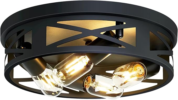 ZHU YAN Flush Mount Light Fixture,4-Light Ceiling Light Fixture for Hallway, Kitchen, Entryway - Black, E26 Base (1 Pack)