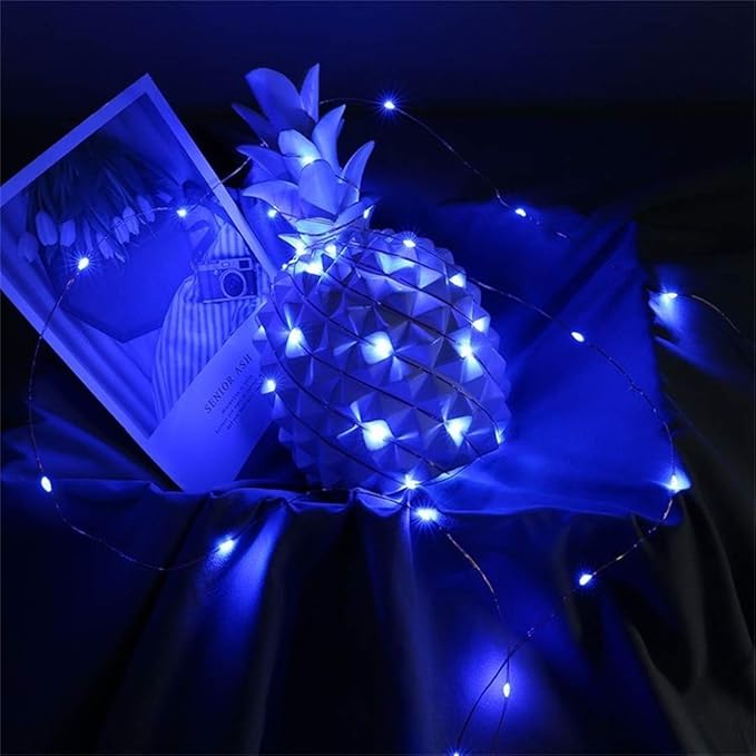 2 Pack Battery Operated Mini Led String Lights,Indoor Fairy Lights with Timer 6 Hours on/18 Hours Off for Halloween/Christmas Lighting Decorations,30 Count LEDs,10 Feet Silver Wire(Blue Color)