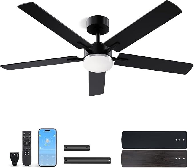 LANMEL Metal Ceiling Fan with Lights and Remote, 52 Inch, Silver & Black | Modern Low Profile Flush Mount, Reversible, 3CCT Dimmable, Quiet, LED, For Bedroom, Living Room, Indoor/Outdoor Patio Use