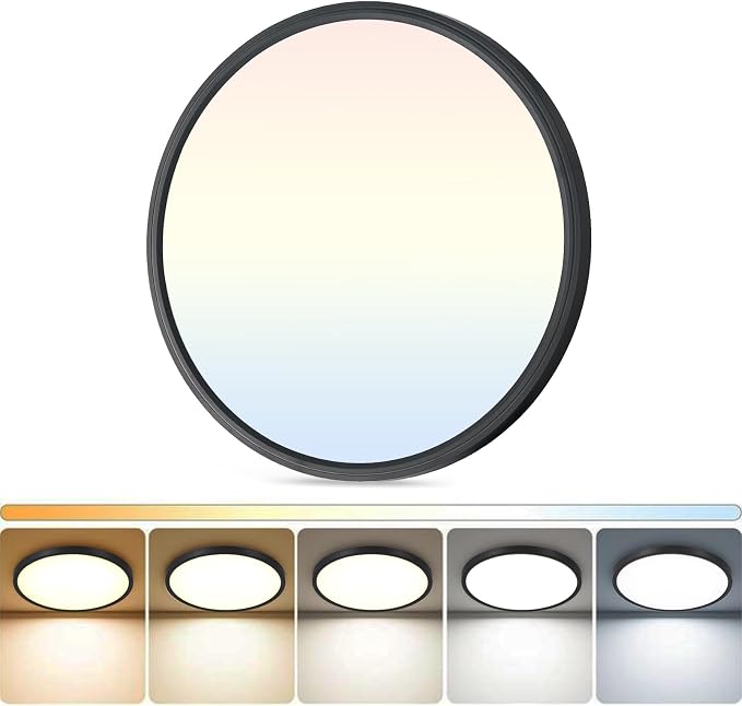 DLLT LED Flush Mount Ceiling Light: 12 inch Super Slim Dimmable & 5CCT (2700-6000K) Kitchen Lighting Fixtures Ceiling - 24W Black Low Profile Ceiling Lamp for Bedroom Garage Hallway