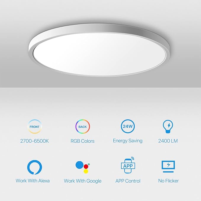 MELEGAN 12 Inch Smart RGB LED Flush Mount Ceiling Light (1 Pcs) | 24W RGB Mood Light, Multi Scenes, Night Light, Flush Mount, Dimmable 2700-6500K, WiFi Alexa Google, for Bedroom, Living Room