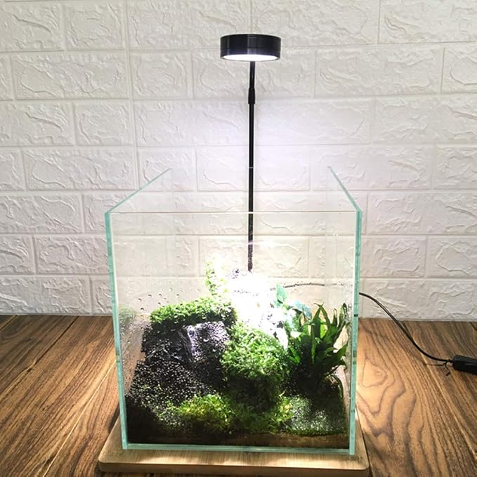 Full Spectrum LED Light for Under 3 Gallon Fish Tank with Bamboo Board | 10w Nano Fish Tank Light USB Powered 360 Degree Bettas Fish Tank Lights for Plant