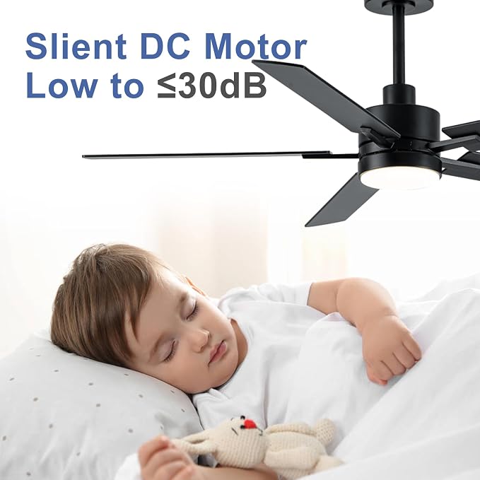 LANMEL Metal Ceiling Fan with Lights and Remote, 52 Inch, Black | Modern Low Profile Flush Mount, Reversible, 3CCT Dimmable, Quiet, LED, For Bedroom, Living Room, Indoor/Outdoor Patio Use