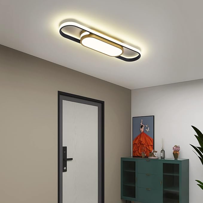 Tioolo Modern LED Flush Mount Ceiling Light, Dimmable with Remote, 27.5in | 3000K-6500K Linear Ceiling Light Fixture, Black Gold Acrylic Ceiling Lamp with Memory for Kitchen, Living Room, Bedroom, 40W