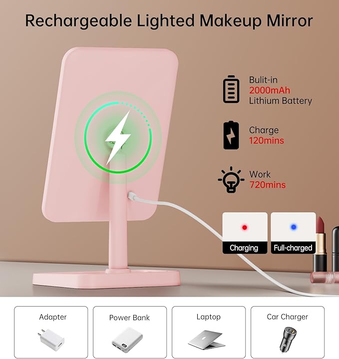 Famihomii Rechargeable Lighted Makeup Mirror for Girls, Desk Mirror with Lights, Detachable 10X Magnifying Mirror, Storage Base, 360° Rotation, Dimmable Lights for Teens Gifts, Pink