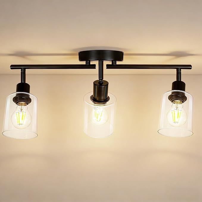 HiBay 3-Light Track Lighting Fixture Black, Ceiling Wall Mount Spotlights | Adjustable 3 Heads with Glass Shades, Modern Farmhouse Industrial, for Kitchen Island, Bathroom, Bedroom, E26 Base