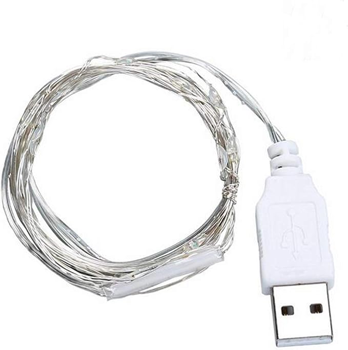 9ft 30 LED USB String Lights - Silver Wire Fairy Lights for Wedding, Party, Christmas & Festival Decorations, Blue