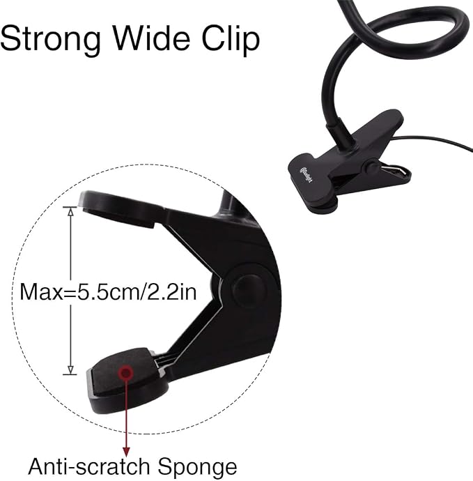 Clamp on Lamp, Clip Light, Desk Lamps 3 Color Temperature Setting, 10 Brightness Levels, 2m USB Cord Power Supply and AC Adapter Included, Pack of 2 (Black)