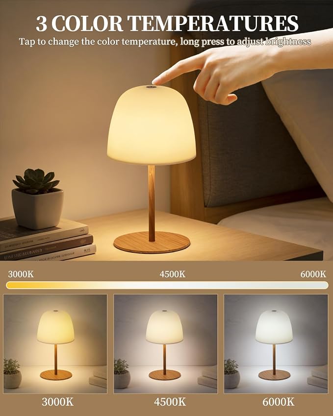 CHLORANTHUS Cordless Shower Lamp Waterproof, Cordless Lamp with 5500mAh Battery, Rechargeable Portable Lamp, Touch Dimmable Desk Light for Bathroom, Outdoor, Kitchen, Camping, Patio