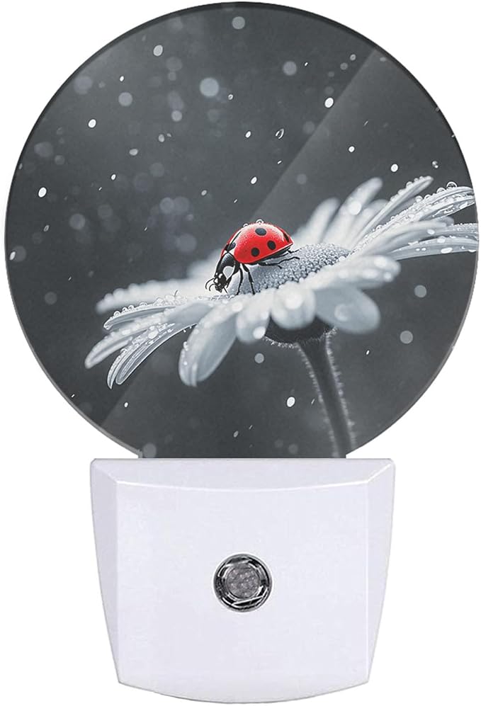 Night Light Ladybug on White Daisy Flowers Dusk to Dawn Plug-in Nightlight Auto Sensor for Bedroom Bathroom Hallway Living Room